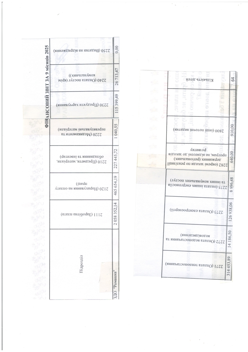 Фінансовий звіт